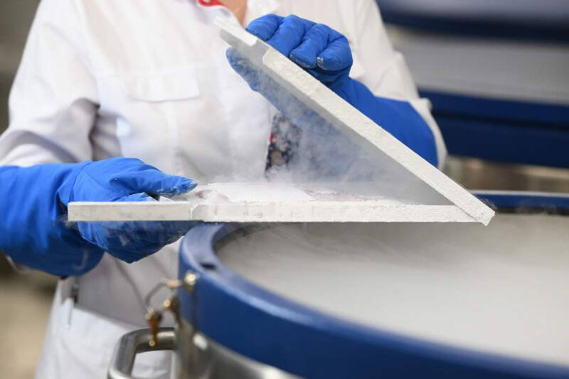 На холодном счету: в РФ научились &laquo;вечно&raquo; хранить искусственные органы