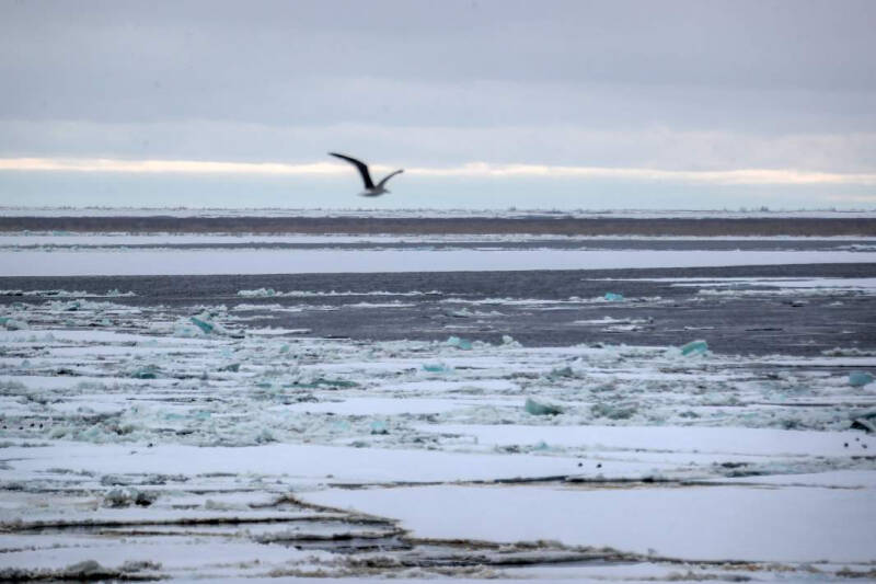&laquo;Полярные технологии пригодятся на новых планетах&raquo;