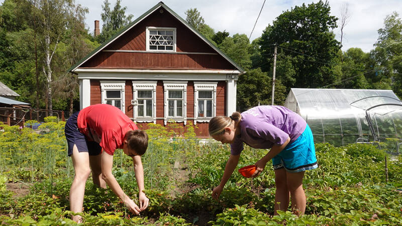 29 мая &mdash; Федор Житник: история и традиции, народные приметы