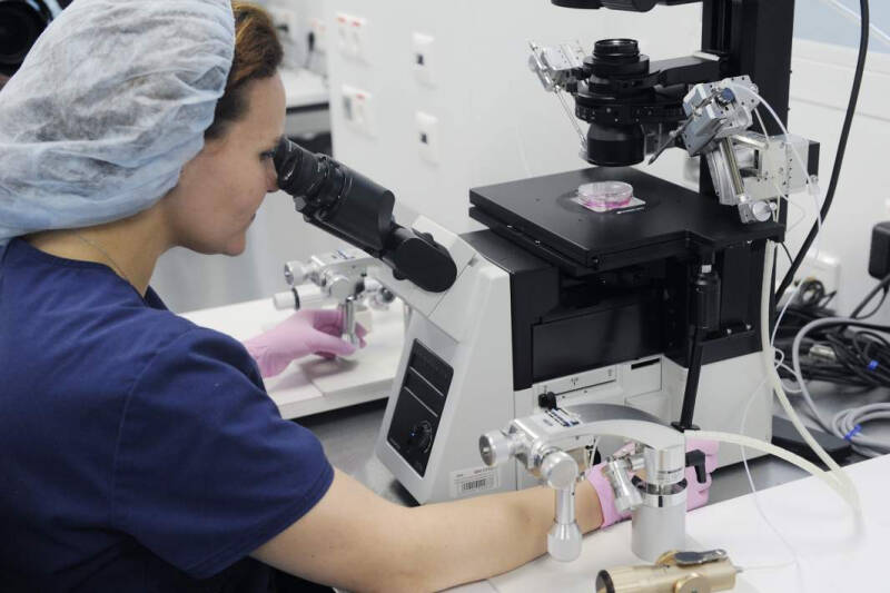 Самый тимус: цифровая &laquo;фабрика&raquo; иммунных клеток поможет в борьбе с ВИЧ