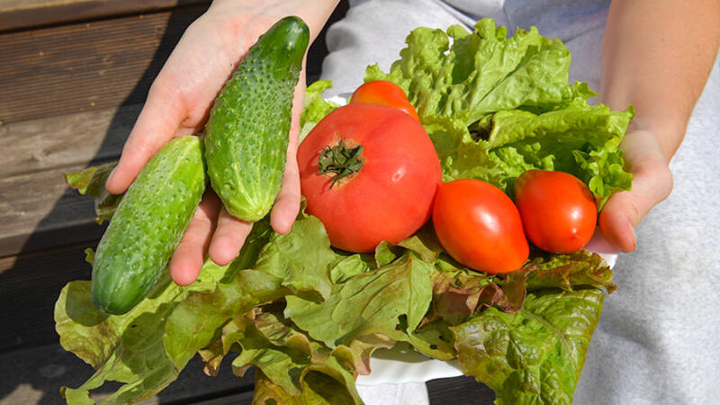 20 июня &mdash; Федот Урожайник: история и традиции, народные приметы