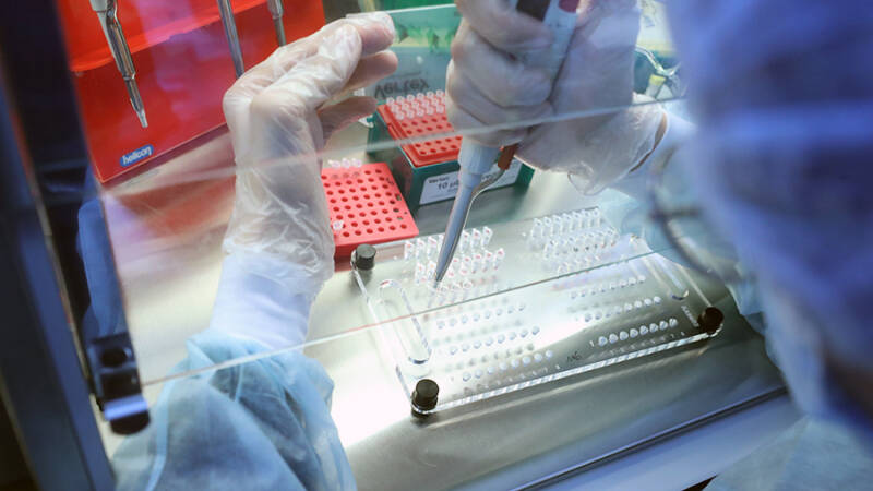 В РФ создали цифровую &laquo;фабрику&raquo; иммунных клеток