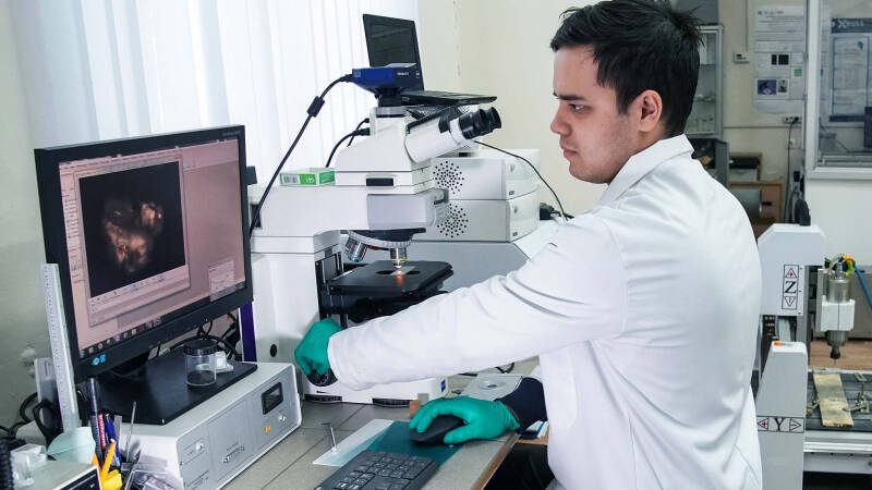 Самый тимус: цифровая &laquo;фабрика&raquo; иммунных клеток поможет в борьбе с ВИЧ