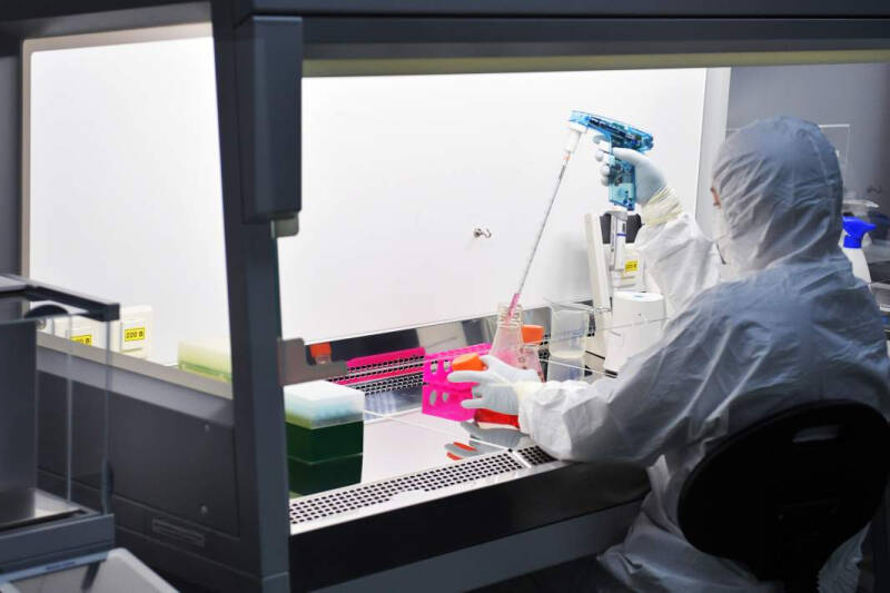 Самый тимус: цифровая &laquo;фабрика&raquo; иммунных клеток поможет в борьбе с ВИЧ