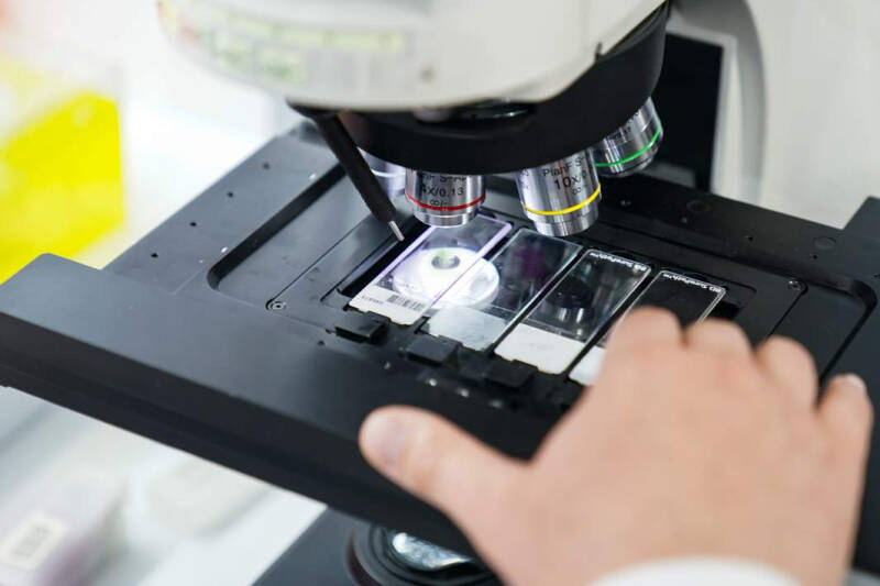 И тут и штамм: расшифровка генома листерий улучшит вакцины для животных