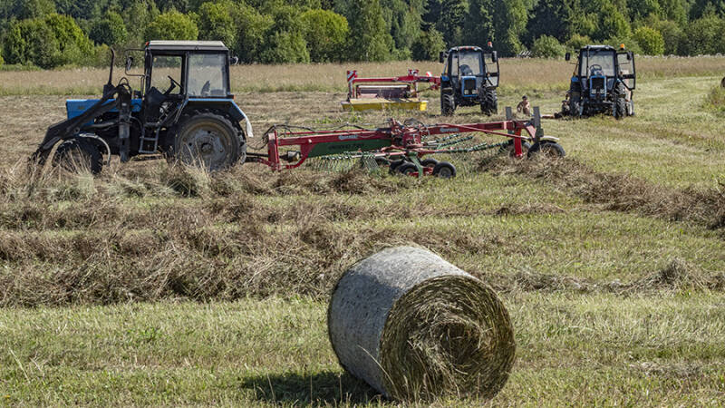 10 июля &mdash; Самсон Сеногной: что это за праздник и как его отмечали в старину