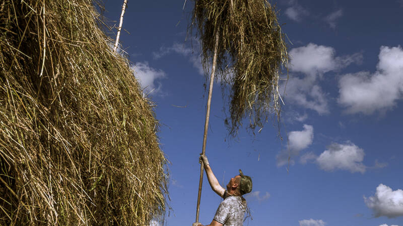 14 июля &mdash; Летние Кузьминки: что это за праздник и как его отмечали в старину