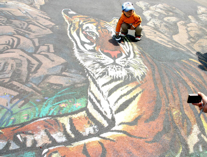 29 июля &mdash; Международный день тигра: история и традиции &laquo;полосатого праздника&raquo;