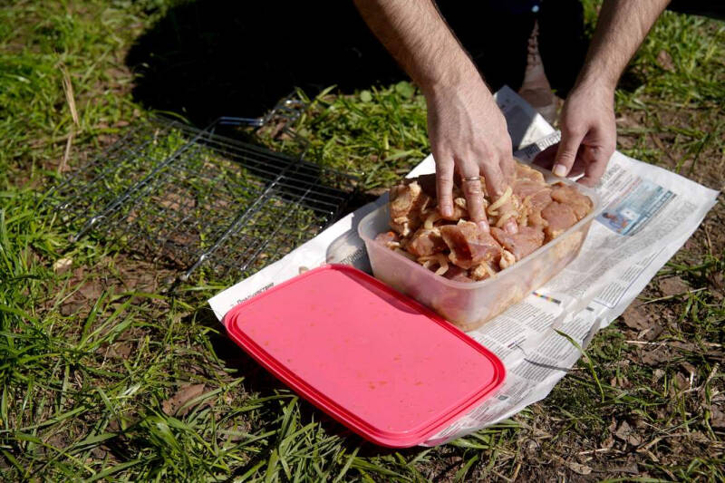 И тут и штамм: расшифровка генома листерий улучшит вакцины для животных