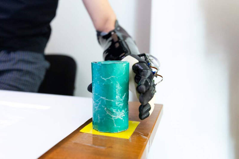 В сумме технологий: тайна эволюции голого землекопа и &laquo;летающий&raquo; поезд