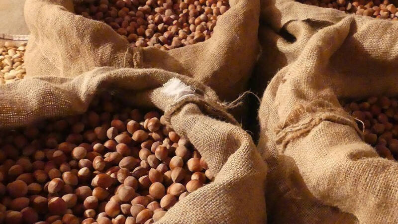 29 августа &mdash; Ореховый Спас: как отмечают праздник и в чем его смысл