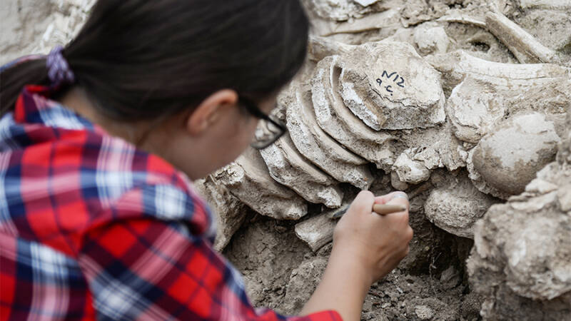 15 августа &mdash; День археолога: история, традиции, поздравления