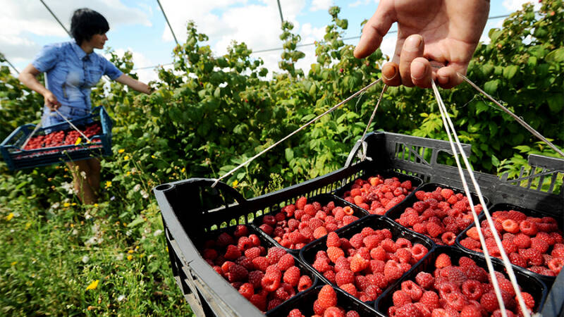 16 августа &mdash; Антон Вихровей: история праздника, обычаи и приметы