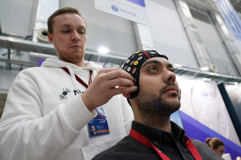 В сумме технологий: тайна эволюции голого землекопа и &laquo;летающий&raquo; поезд