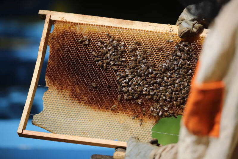 14&nbsp;августа&nbsp;&mdash; Медовый Спас: что категорически нельзя делать, народные приметы