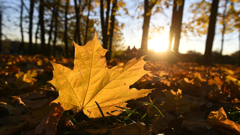 22 сентября &mdash; день осеннего равноденствия: народные традиции и приметы